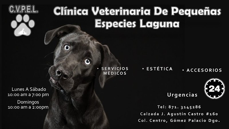 Clínica Veterinaria de Pequeñas Especies Laguna