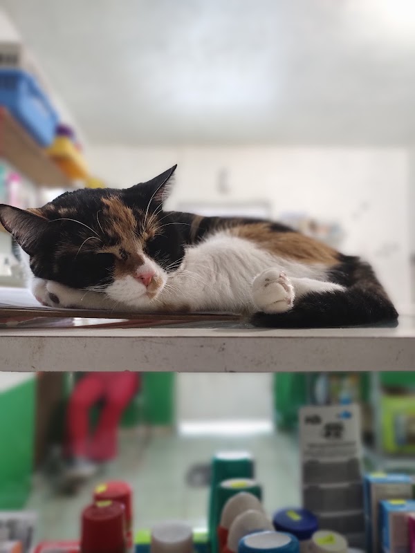 Clinica Veterinaria "Del Poniente"