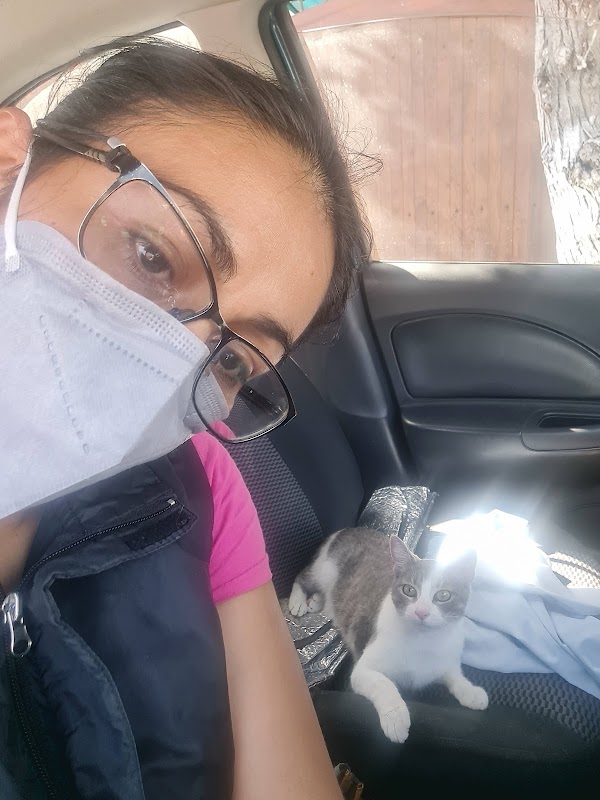 Clínica Veterinaria del Valle