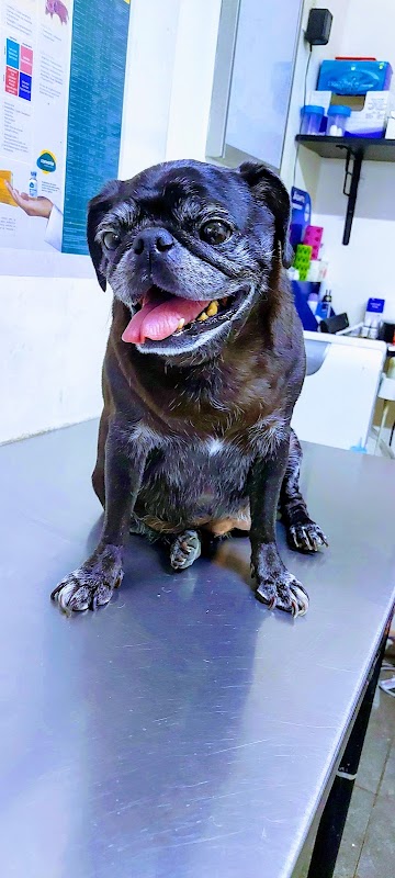 Clínica Veterinaria Derreza