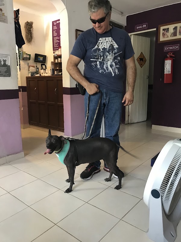 Clinica Veterinaria Dr Rene Guzman