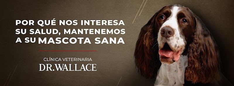 Clínica Veterinaria Dr Wallace