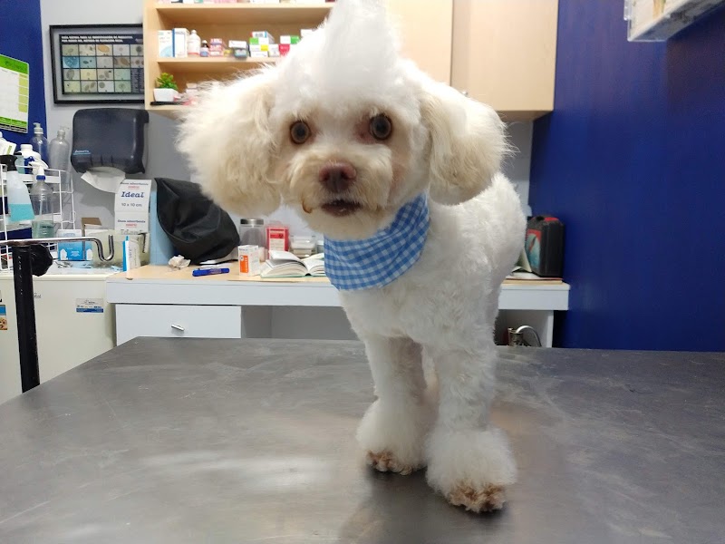 Clinica Veterinaria EQUICAN
