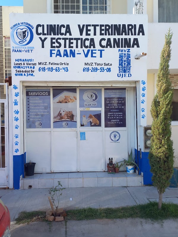 Clinica Veterinaria Faan — Medicina felina en Durango