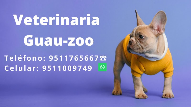 Clínica Veterinaria "Guau