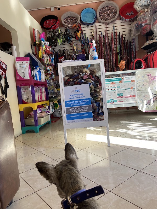 Clinica veterinaria Huellitas