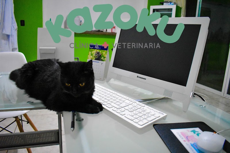 Clinica veterinaria Kazoku