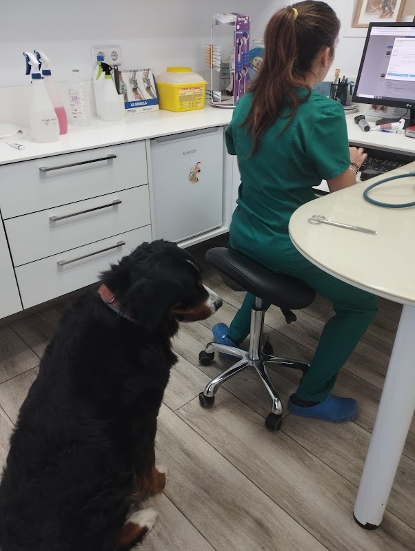 Clínica veterinaria KINKAJÚ