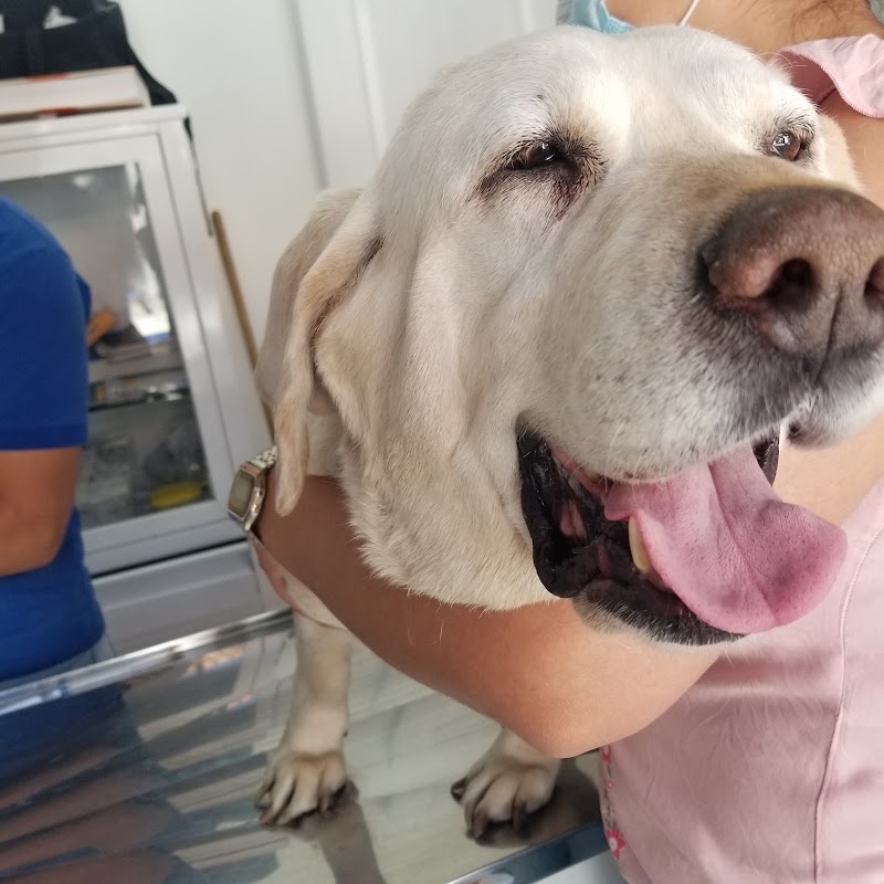 Clínica Veterinaria Las Pistas de Blue