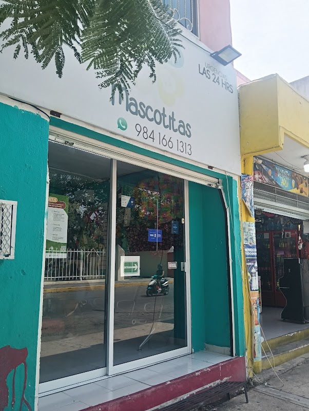 Clínica Veterinaria Mascotitas Playa del Carmen