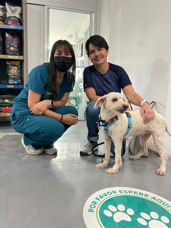 Clinica Veterinaria Meztli