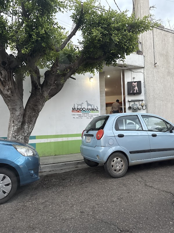 Clinica veterinaria Mundo Animal