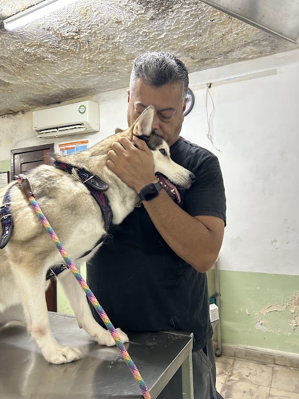 CLÍNICA VETERINARIA "MUNDO ANIMAL"