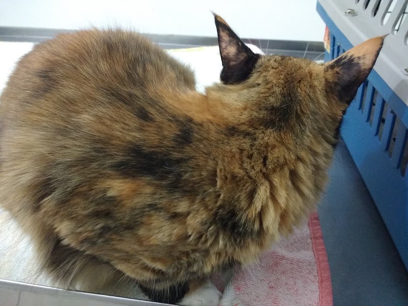 Clínica Veterinaria Nuko
