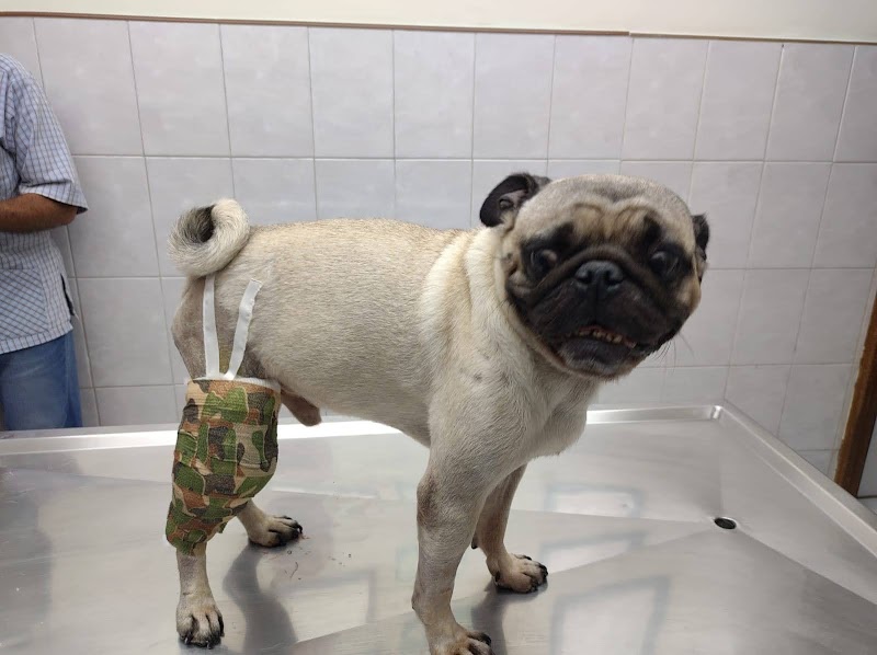 Clinica Veterinaria Pérez Villanueva