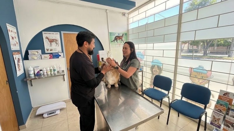 Clínica Veterinaria Pet Zoone