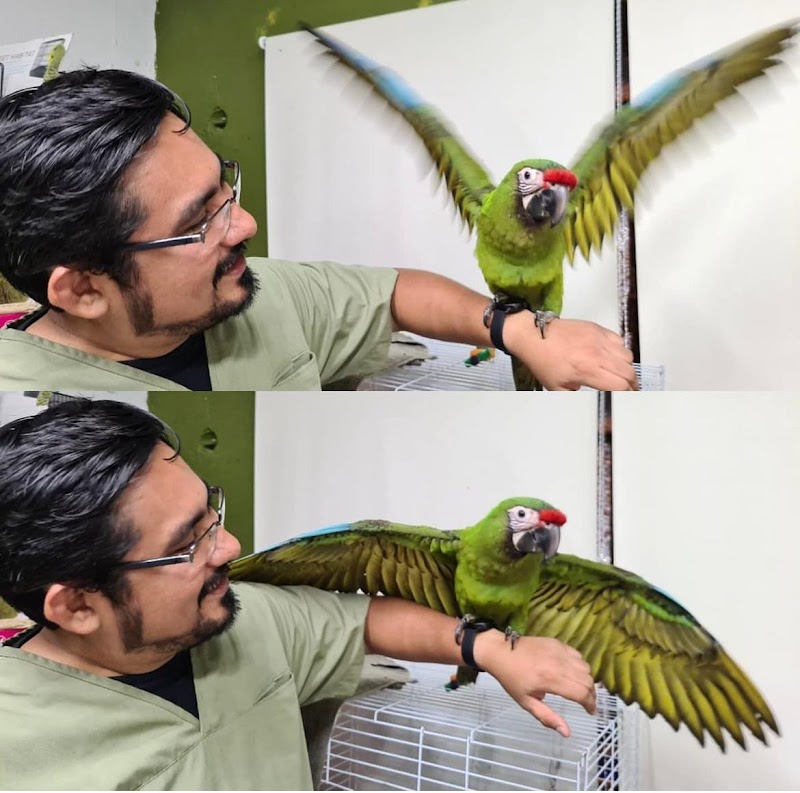 Clínica Veterinaria Planeta Fauna 🦜