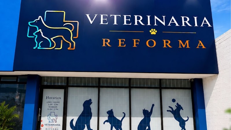 CLINICA VETERINARIA REFORMA — Ortopedista en Ciudad Juárez