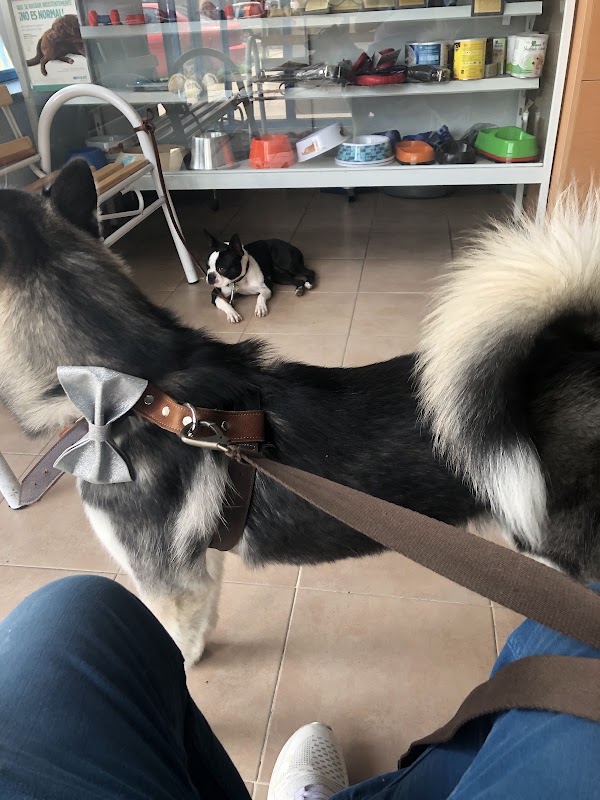CLINICA VETERINARIA RIHOS