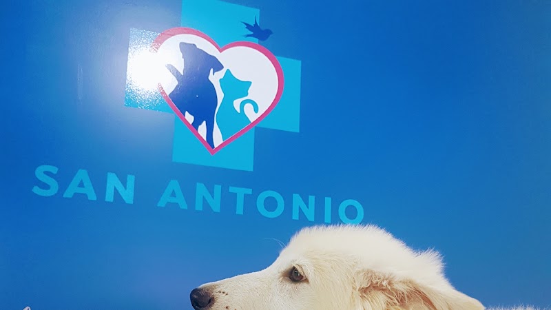 Clinica Veterinaria San Antonio