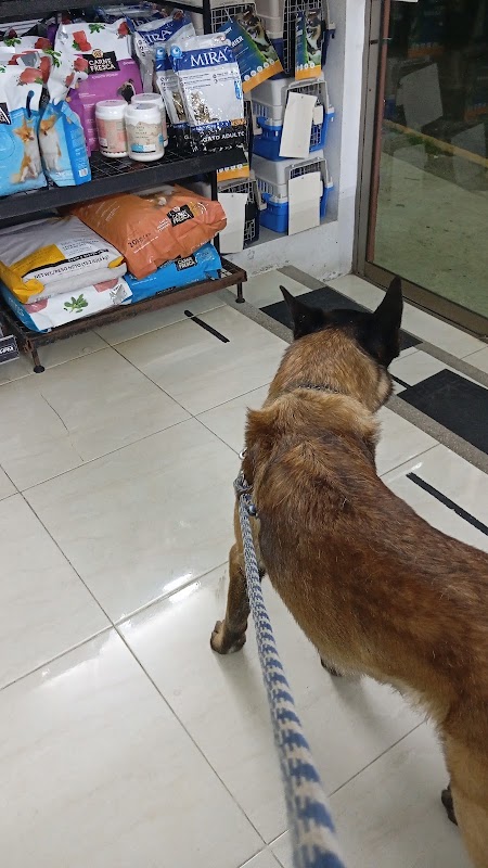 Clinica Veterinaria San Francisco de Asís