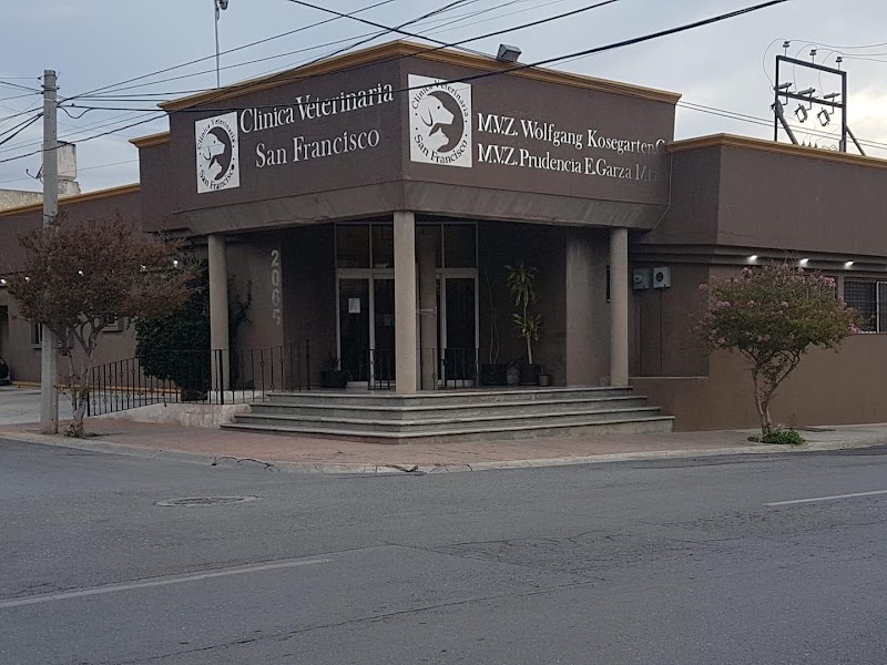 Clinica Veterinaria San Francisco