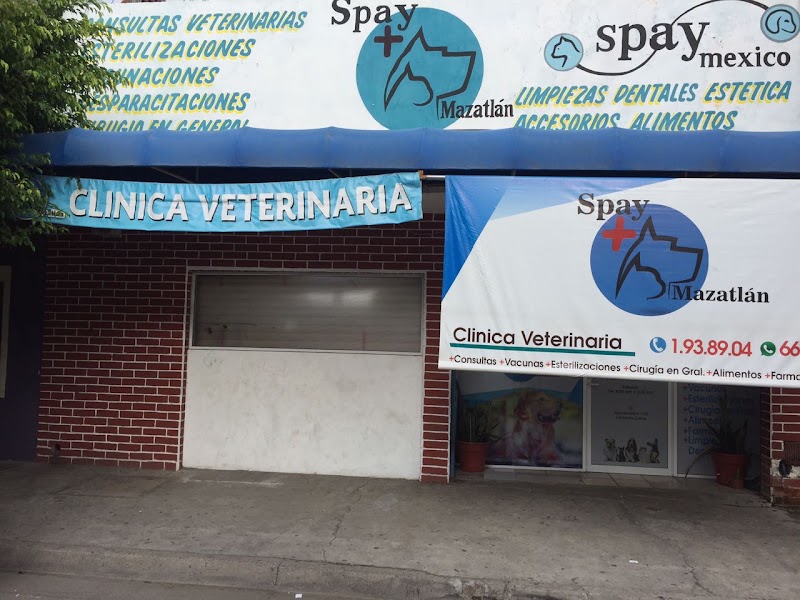 Clínica Veterinaria Spay Mazatlán