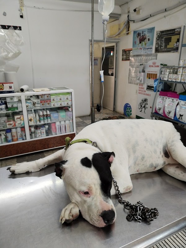 Clinica Veterinaria Vallejo