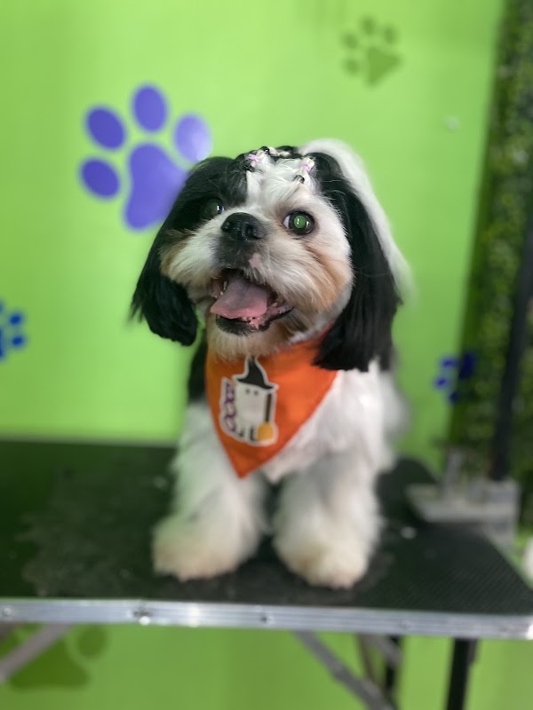 Clínica Veterinaria y Estética Canina