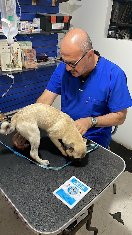 CLINICAN'S — Medicina aviar en Culiacán