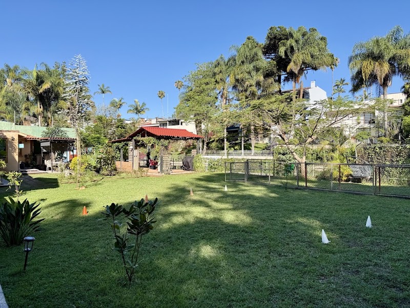 Club Canino Ánimas — Etología clínica y conducta animal en Xalapa