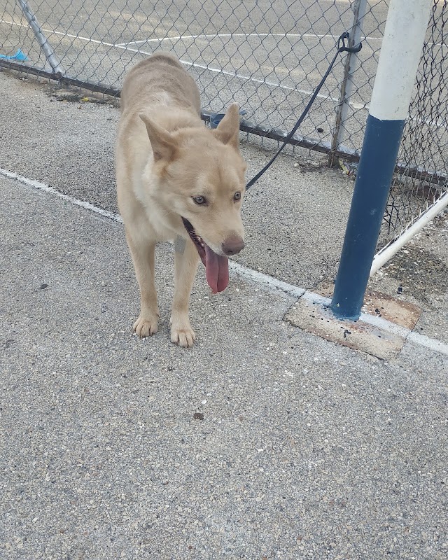Club Manada Canina de Yucatán