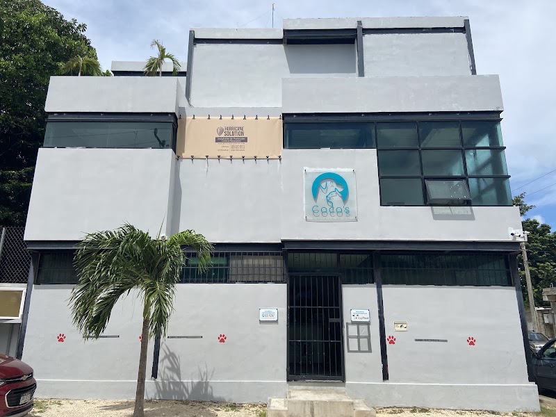 Coco's Animal Welfare Clinic