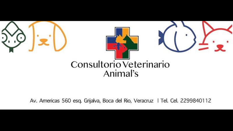 Consultorio Veterinario Animal´s