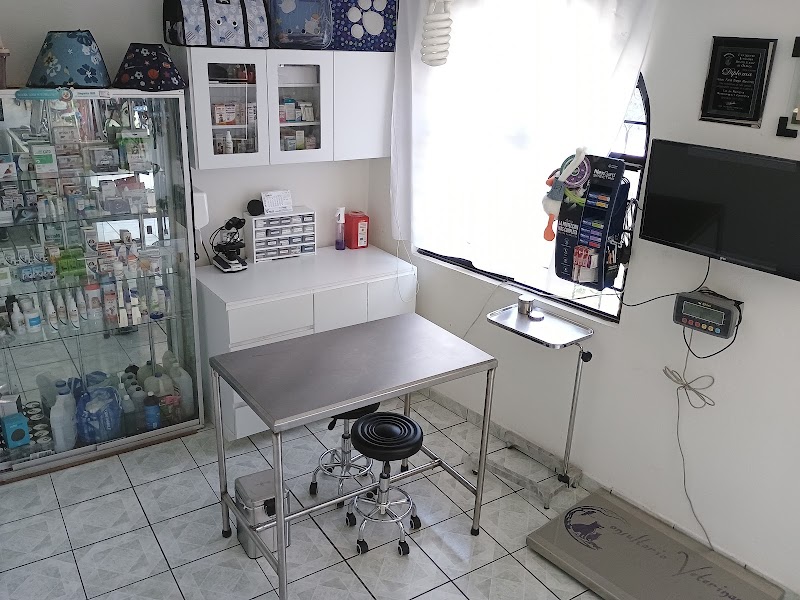 Consultorio Veterinario "Start Care" — Oftalmología veterinaria en Oaxaca