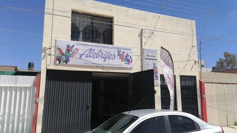 Consultorio Veterinario y Estética "Alebrijes"