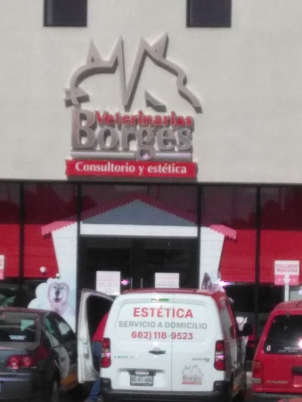 Consultorio y estética Veterinarias Borges