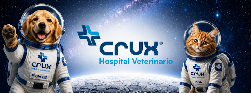 CRUX Hospital Veterinario & Grooming