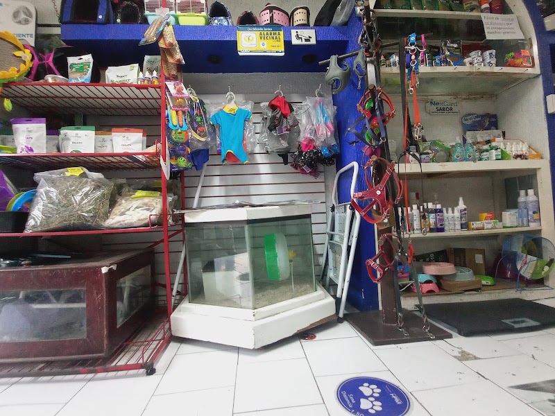 D-Vet Exotics
