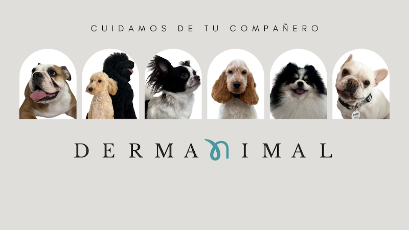Dermanimal Clinica Veterinaria