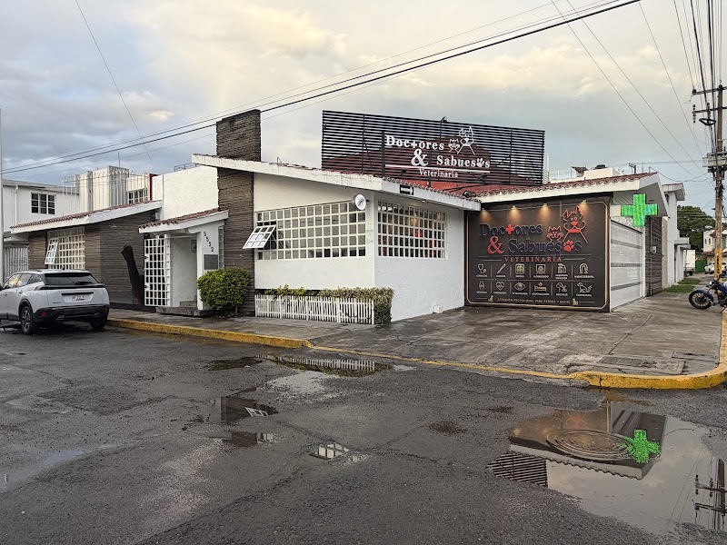 Doctores y Sabuesos Veterinaria