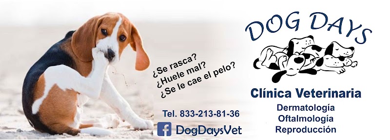 Dog Days Clinica Dermatologica y Oftalmología Veterinaria