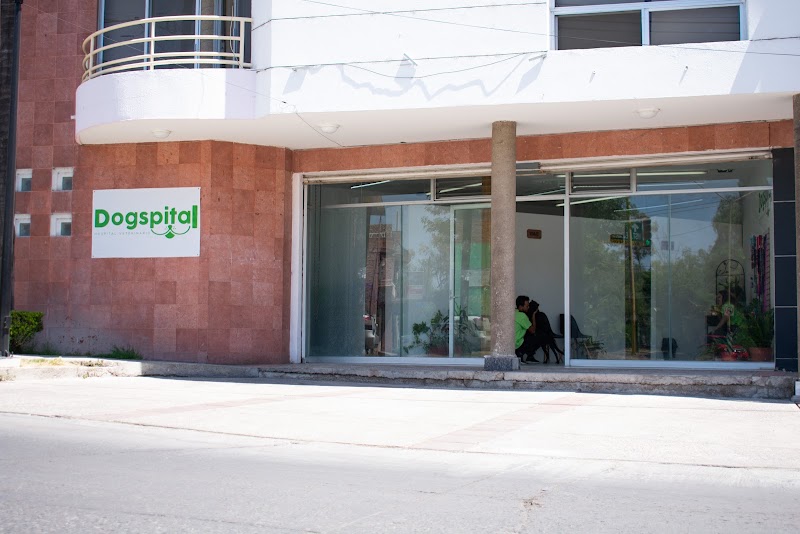 Dogspital Veterinario a Domicilio en Aguascalientes