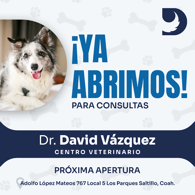 Dr. David Vázquez