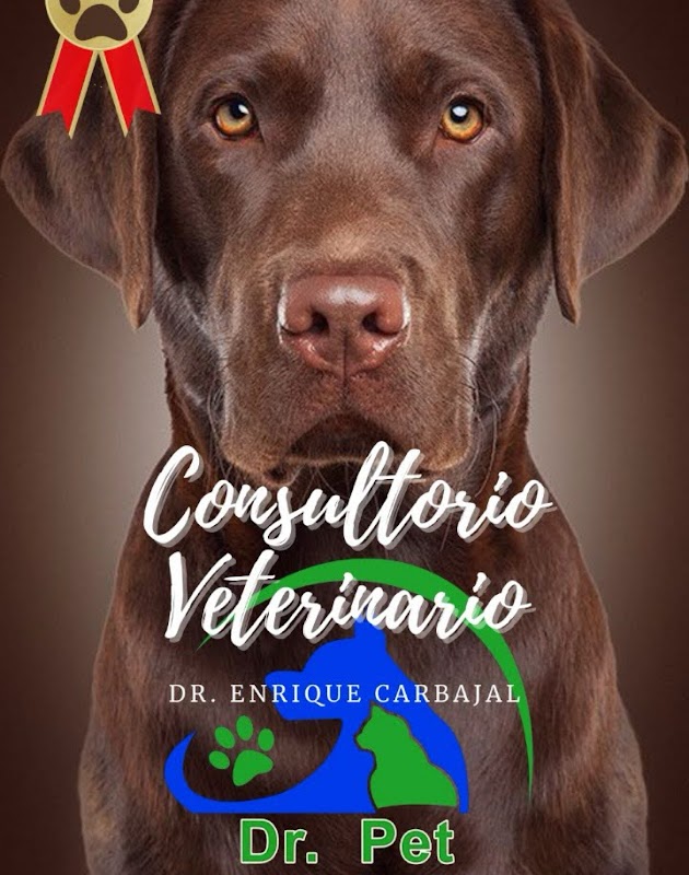 Dr. Pet