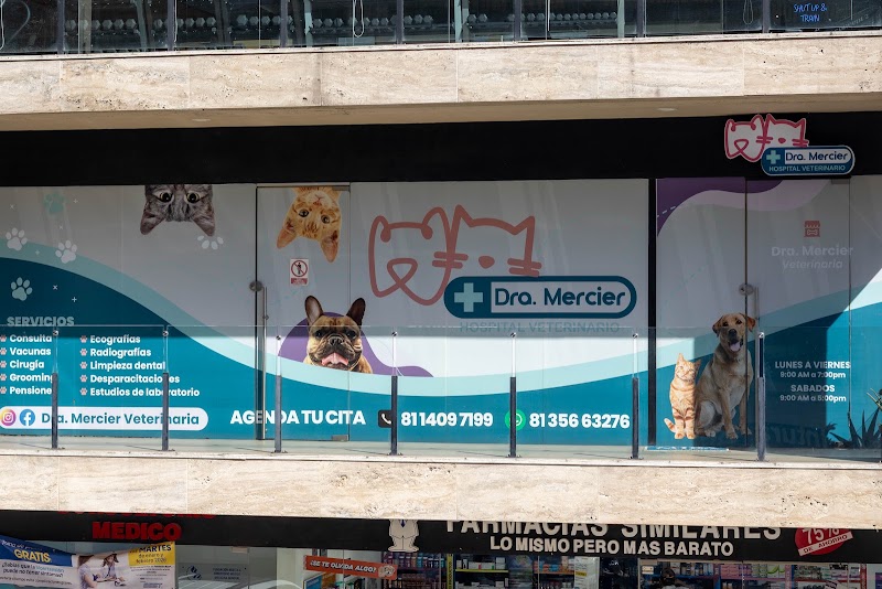 Dra. Mercier Hospital Veterinario