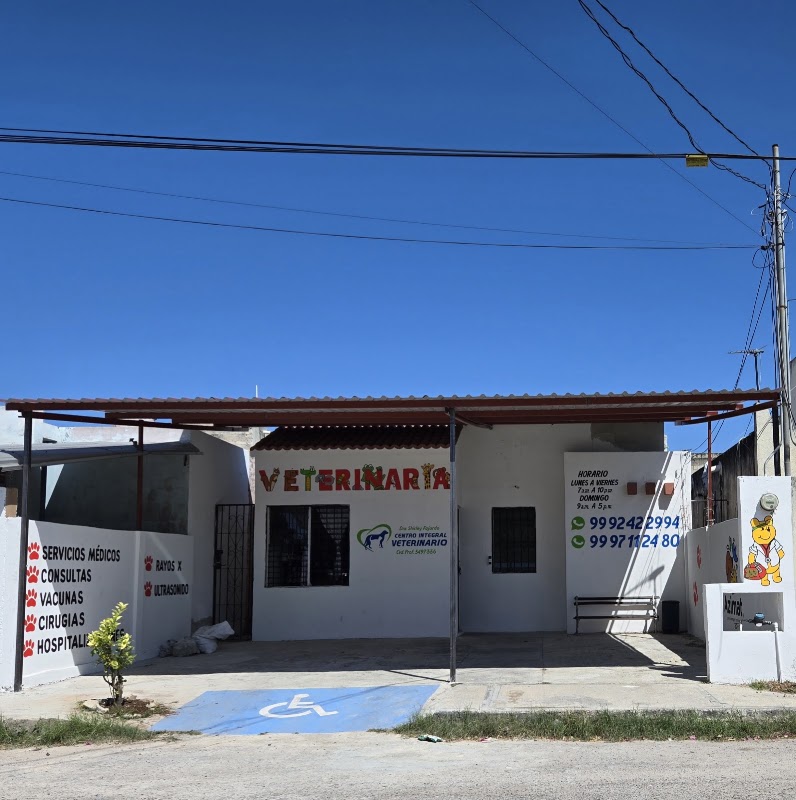 Dra. Shirley Fajardo Centro Integral Veterinario — Medicina felina en Mérida