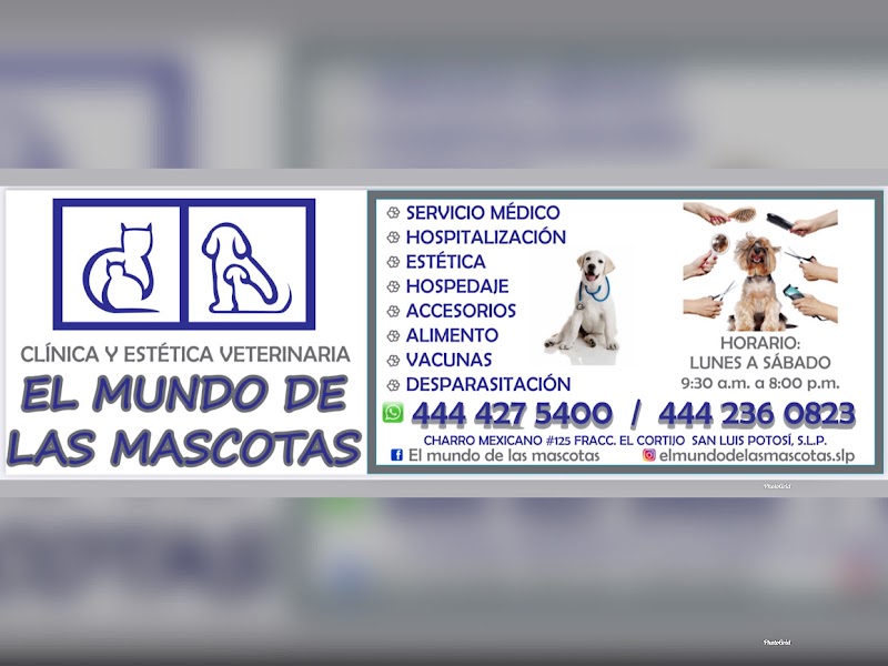 El Mundo de las Mascotas