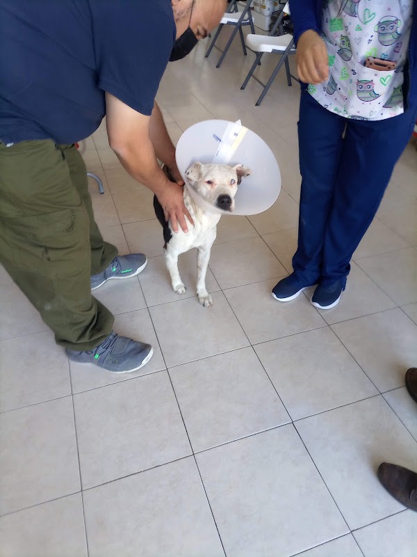 El Mundo de los Animales