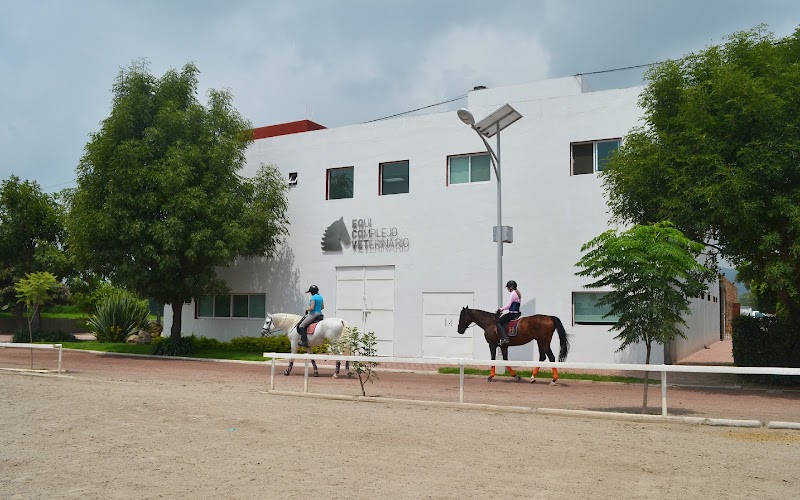 EQCOVET